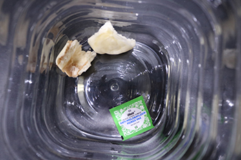 已使用防霉除臭片效果