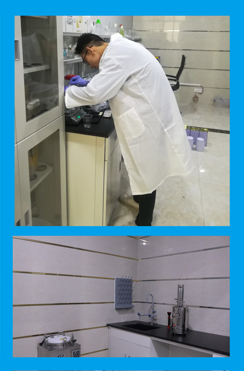 sys1.jpg
